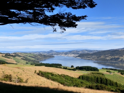 catlins (39)
